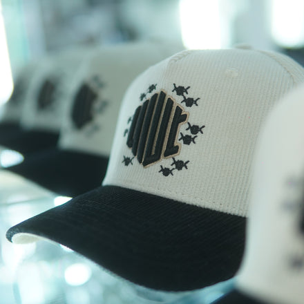 HIVE snapback